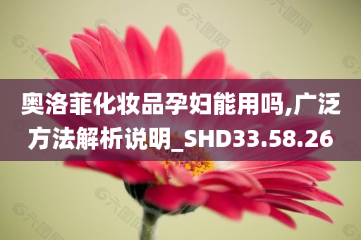 奥洛菲化妆品孕妇能用吗,广泛方法解析说明_SHD33.58.26