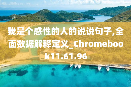 我是个感性的人的说说句子,全面数据解释定义_Chromebook11.61.96