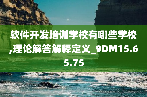 软件开发培训学校有哪些学校,理论解答解释定义_9DM15.65.75