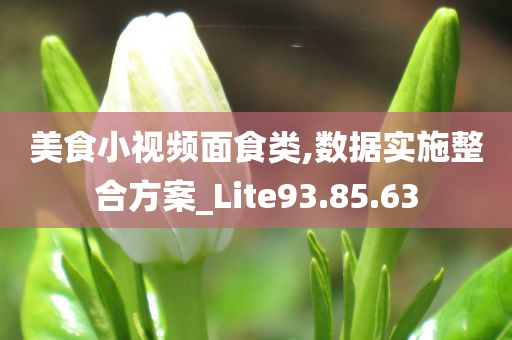 美食小视频面食类,数据实施整合方案_Lite93.85.63