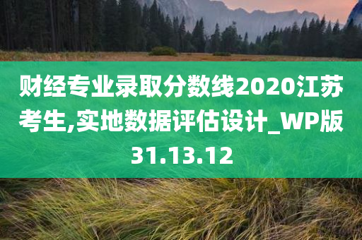 财经专业录取分数线2020江苏考生,实地数据评估设计_WP版31.13.12