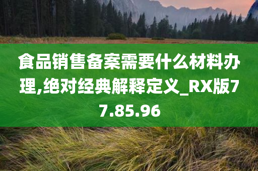 食品销售备案需要什么材料办理,绝对经典解释定义_RX版77.85.96