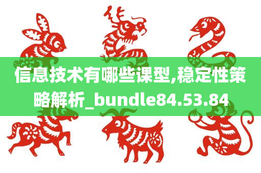 信息技术有哪些课型,稳定性策略解析_bundle84.53.84