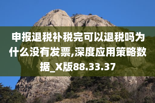 申报退税补税完可以退税吗为什么没有发票,深度应用策略数据_X版88.33.37