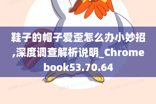 鞋子的帽子爱歪怎么办小妙招,深度调查解析说明_Chromebook53.70.64