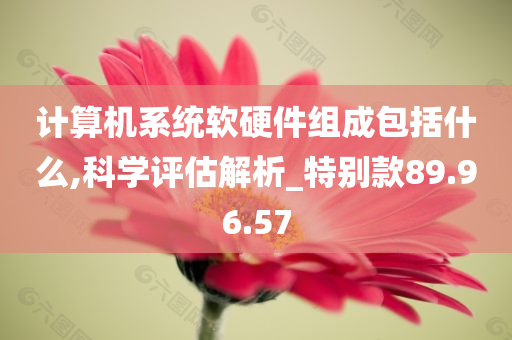 计算机系统软硬件组成包括什么,科学评估解析_特别款89.96.57