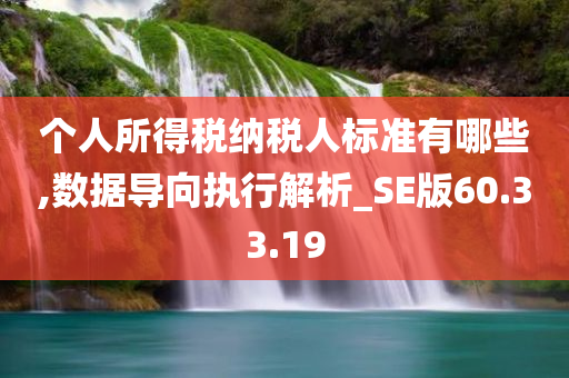 个人所得税纳税人标准有哪些,数据导向执行解析_SE版60.33.19