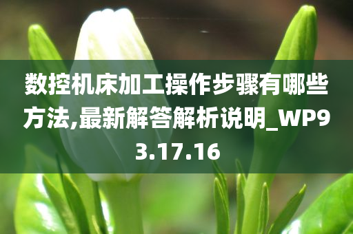 数控机床加工操作步骤有哪些方法,最新解答解析说明_WP93.17.16