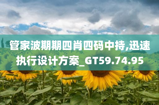 管家波期期四肖四码中持,迅速执行设计方案_GT59.74.95