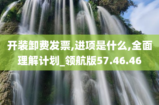 开装卸费发票,进项是什么,全面理解计划_领航版57.46.46