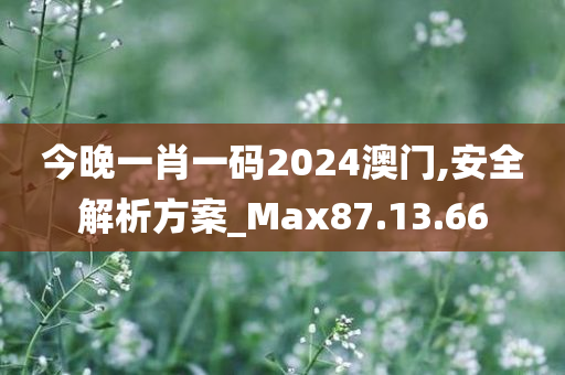 今晚一肖一码2024澳门,安全解析方案_Max87.13.66