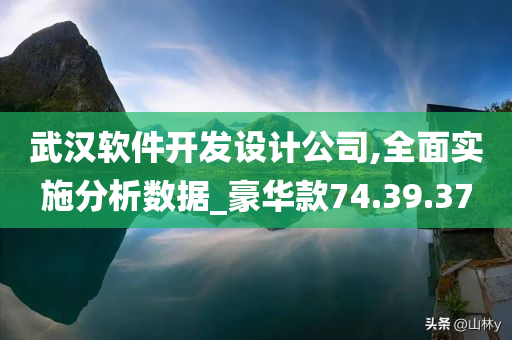 武汉软件开发设计公司,全面实施分析数据_豪华款74.39.37