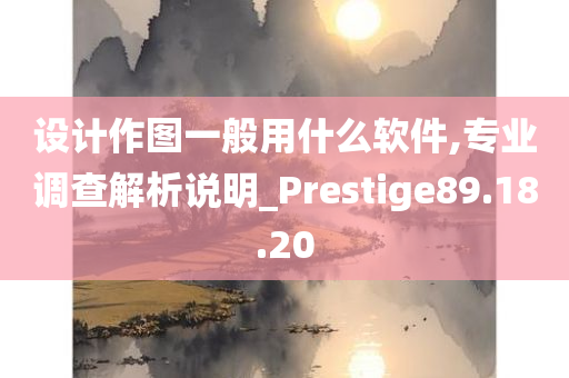 设计作图一般用什么软件,专业调查解析说明_Prestige89.18.20