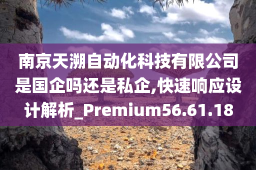 南京天溯自动化科技有限公司是国企吗还是私企,快速响应设计解析_Premium56.61.18