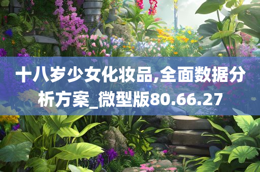 十八岁少女化妆品,全面数据分析方案_微型版80.66.27