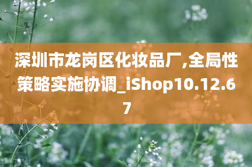 深圳市龙岗区化妆品厂,全局性策略实施协调_iShop10.12.67