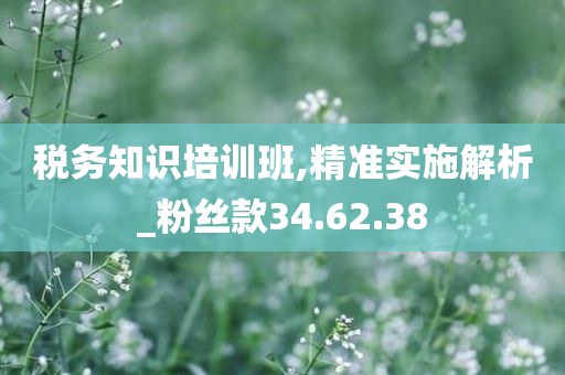 税务知识培训班,精准实施解析_粉丝款34.62.38