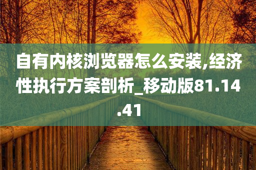 自有内核浏览器怎么安装,经济性执行方案剖析_移动版81.14.41