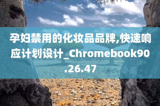 孕妇禁用的化妆品品牌,快速响应计划设计_Chromebook90.26.47