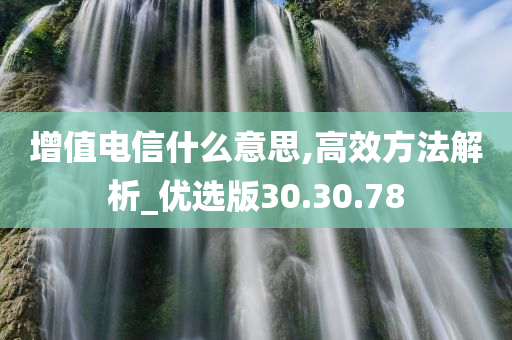 增值电信什么意思,高效方法解析_优选版30.30.78