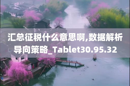 汇总征税什么意思啊,数据解析导向策略_Tablet30.95.32