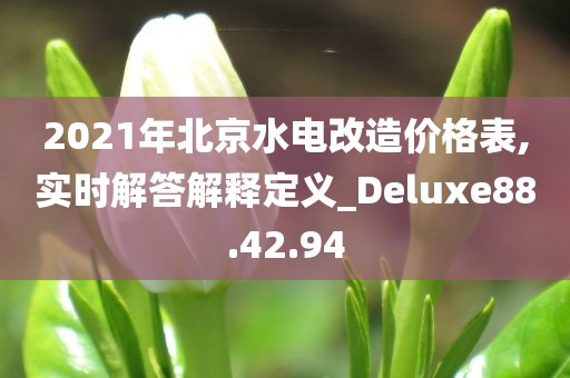 2021年北京水电改造价格表,实时解答解释定义_Deluxe88.42.94