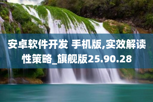 安卓软件开发 手机版,实效解读性策略_旗舰版25.90.28