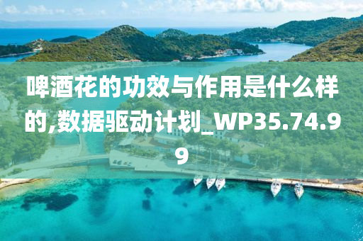 啤酒花的功效与作用是什么样的,数据驱动计划_WP35.74.99