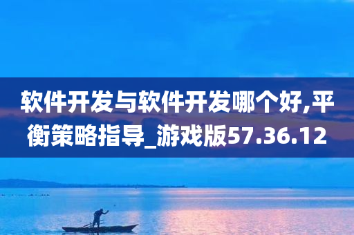 软件开发与软件开发哪个好,平衡策略指导_游戏版57.36.12