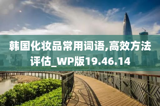 韩国化妆品常用词语,高效方法评估_WP版19.46.14