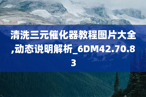 清洗三元催化器教程图片大全,动态说明解析_6DM42.70.83