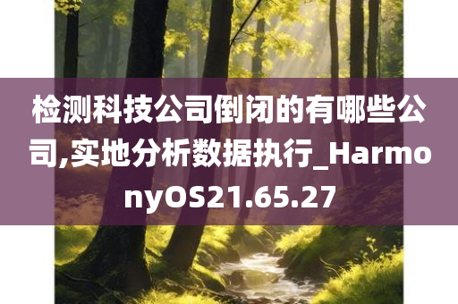 检测科技公司倒闭的有哪些公司,实地分析数据执行_HarmonyOS21.65.27