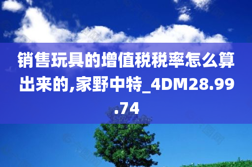 销售玩具的增值税税率怎么算出来的,家野中特_4DM28.99.74