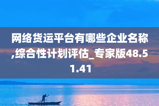 网络货运平台有哪些企业名称,综合性计划评估_专家版48.51.41