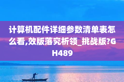 计算机配件详细参数清单表怎么看,效版落究析领_挑战版?GH489