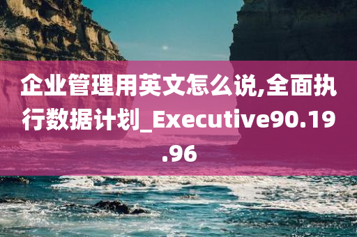 企业管理用英文怎么说,全面执行数据计划_Executive90.19.96