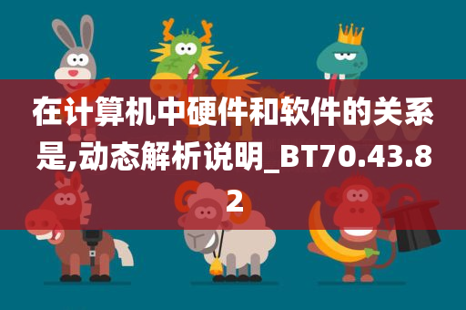 在计算机中硬件和软件的关系是,动态解析说明_BT70.43.82