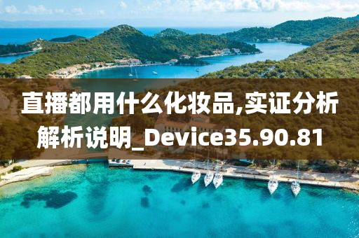 直播都用什么化妆品,实证分析解析说明_Device35.90.81