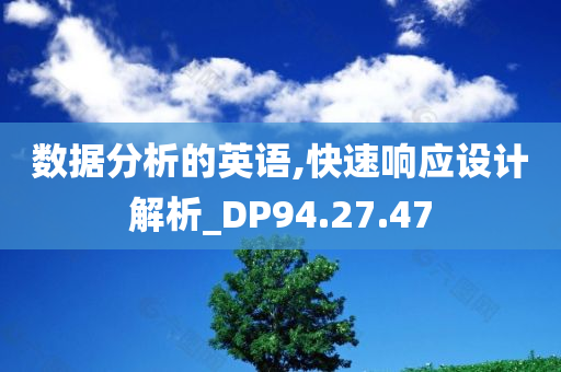 数据分析的英语,快速响应设计解析_DP94.27.47