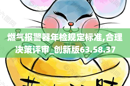 燃气报警器年检规定标准,合理决策评审_创新版63.58.37