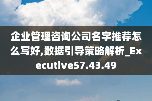 企业管理咨询公司名字推荐怎么写好,数据引导策略解析_Executive57.43.49