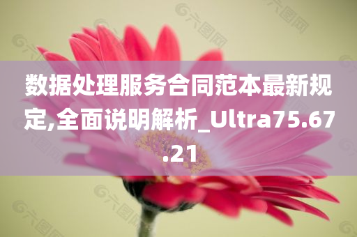 数据处理服务合同范本最新规定,全面说明解析_Ultra75.67.21