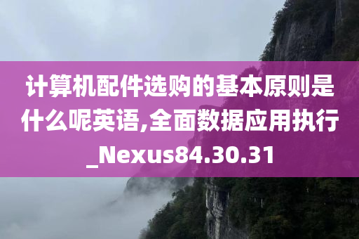 计算机配件选购的基本原则是什么呢英语,全面数据应用执行_Nexus84.30.31