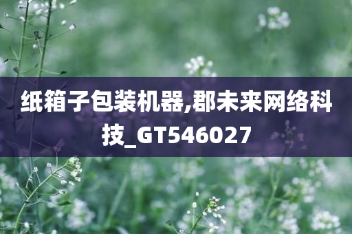 纸箱子包装机器,郡未来网络科技_GT546027