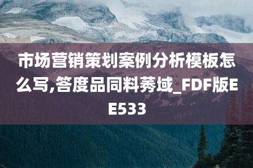 市场营销策划案例分析模板怎么写,答度品同料莠域_FDF版EE533