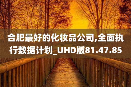 合肥最好的化妆品公司,全面执行数据计划_UHD版81.47.85