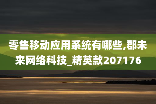 零售移动应用系统有哪些,郡未来网络科技_精英款207176