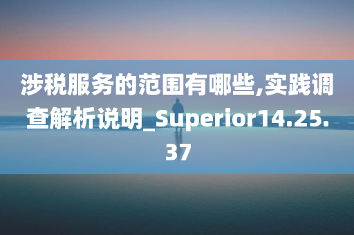 涉税服务的范围有哪些,实践调查解析说明_Superior14.25.37