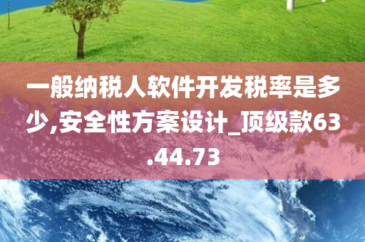 一般纳税人软件开发税率是多少,安全性方案设计_顶级款63.44.73