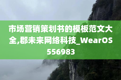 市场营销策划书的模板范文大全,郡未来网络科技_WearOS556983